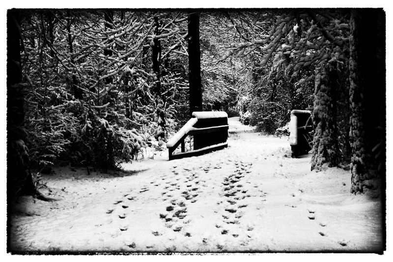 Bridge into the Unknown