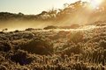 overland track 13