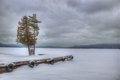 palmerPoint