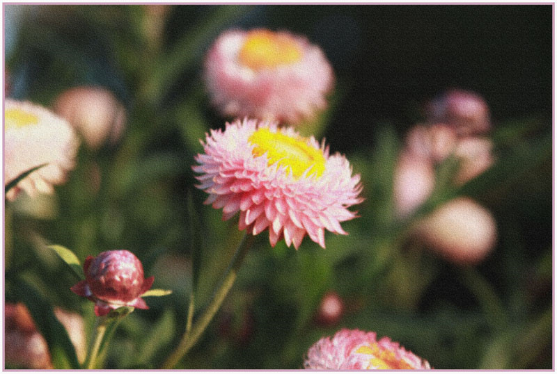 Spring has Sprung.