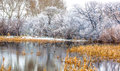 Winter or Spring