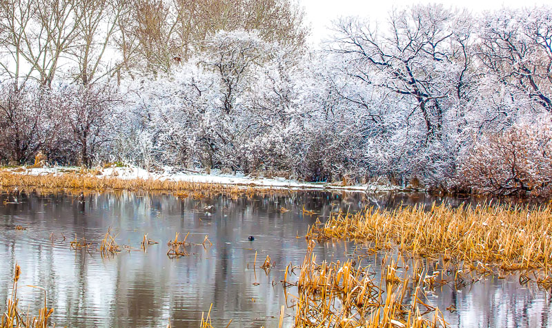 Winter or Spring