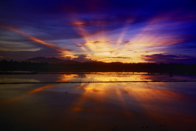 sunset