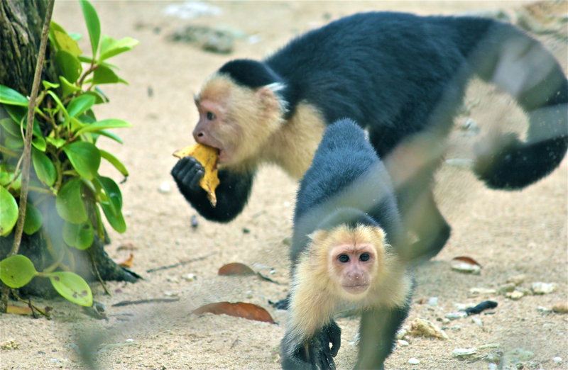 Lunchtime