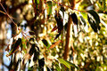 IMG_4467dblv
