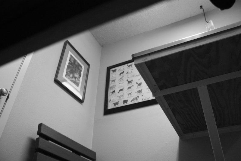 IMG_1747BW