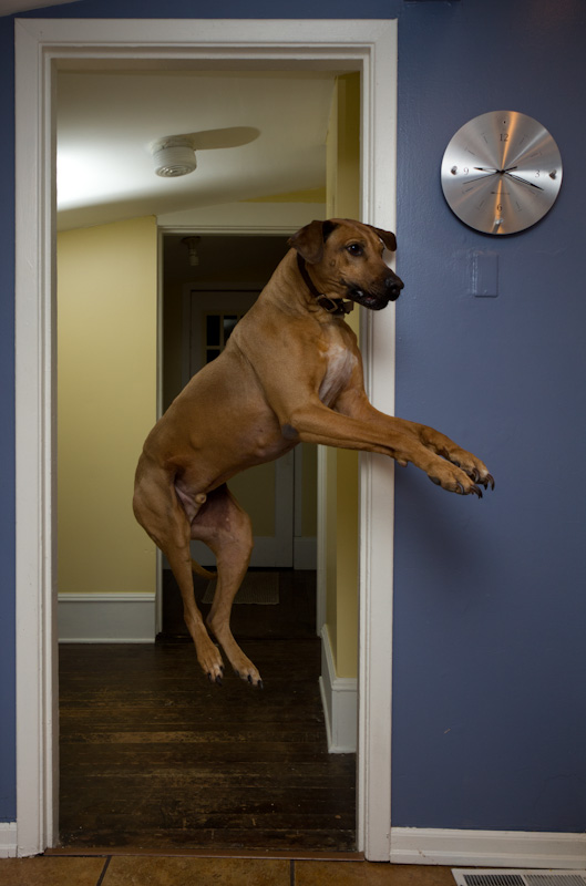 leap_outtake-1