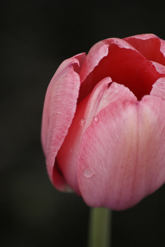 _DSC3534 small