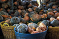 Pumpkins
