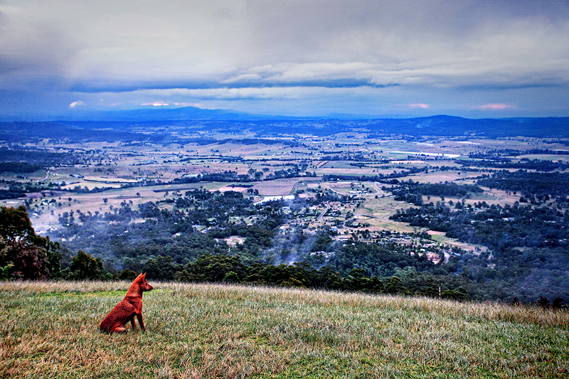 PAW Week 15 - Red Dog, Blue Hills, Rainy Day