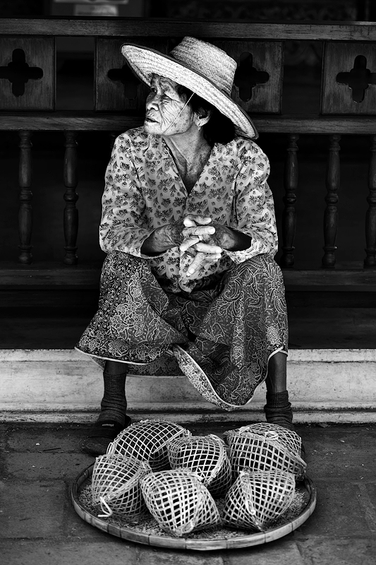 The Bird Seller