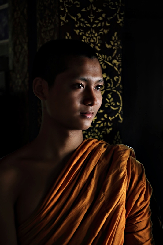 In the Light