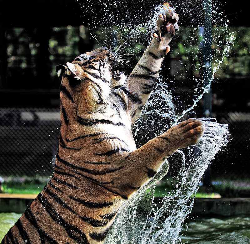Jump!