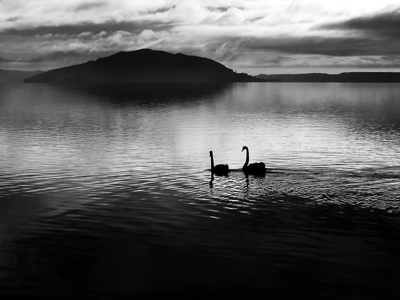 Lake morning