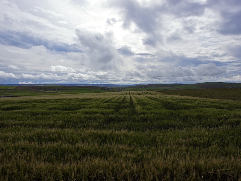 Landscape