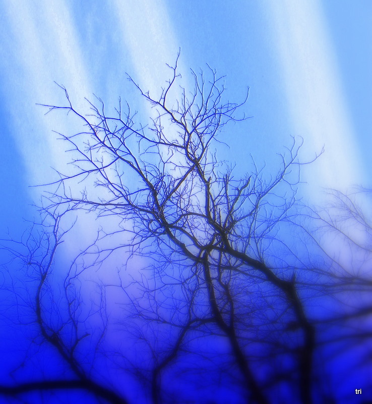 Blue Rays