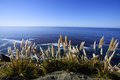 IMG_9704