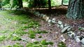 Rocks in Woods