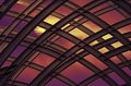 Psychedelic  Dawn