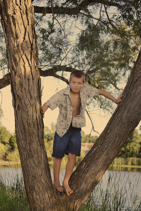 Tyler in the Tree
