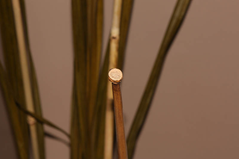 Bamboo Stick