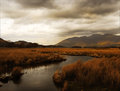 Copper Lakeland