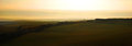 Meadow Light