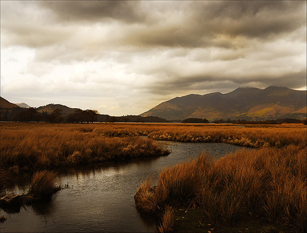 Copper Lakeland