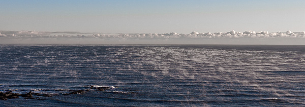 Ocean Mist