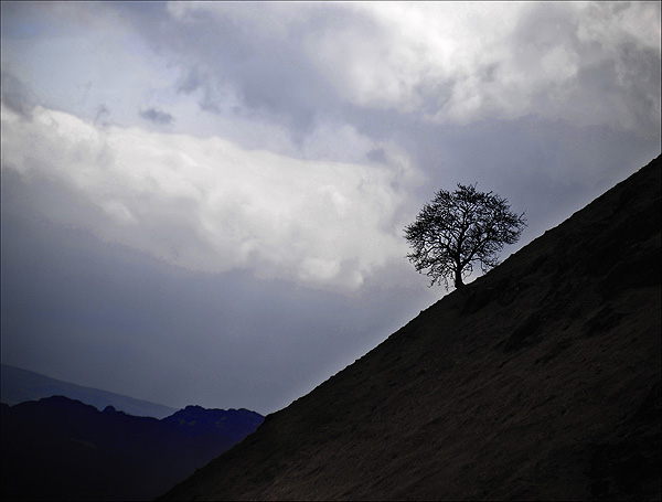 Solitude