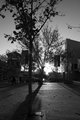 Sunset at the cultural centre 1
