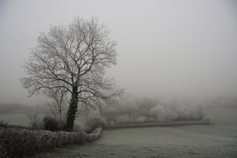 Misty frost