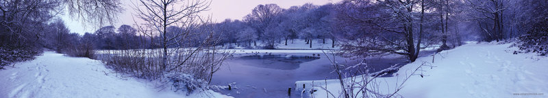 Wimbledon Lake