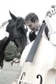 Horsing Around