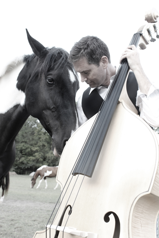 Horsing Around