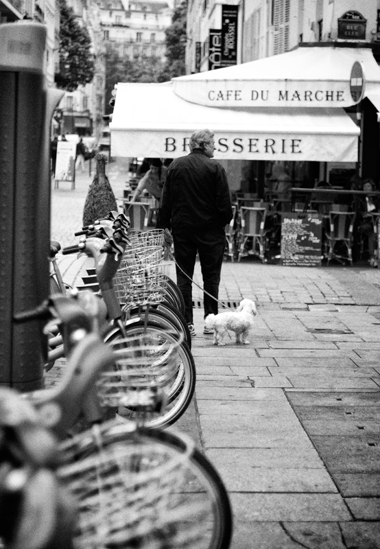 L'Homme et Son Chien