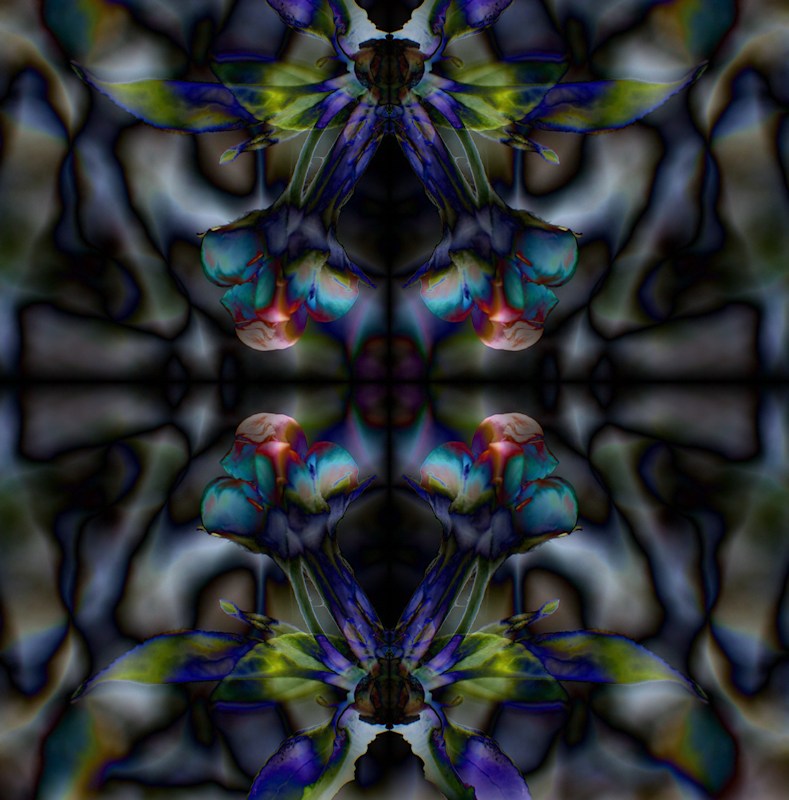 flip5