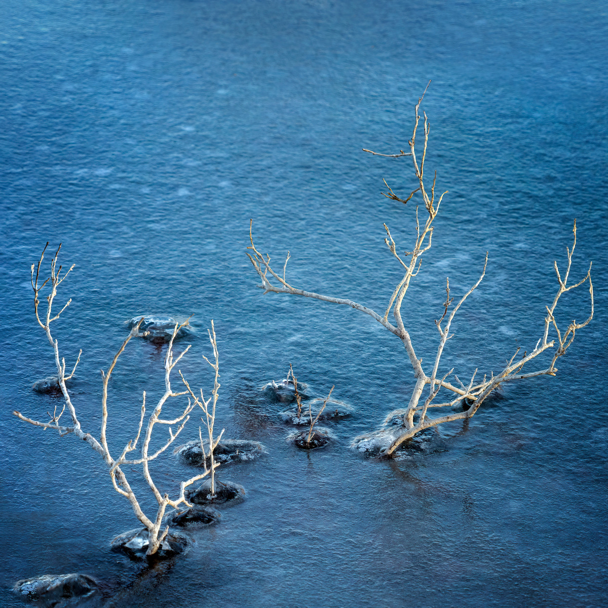 Winter's Grip