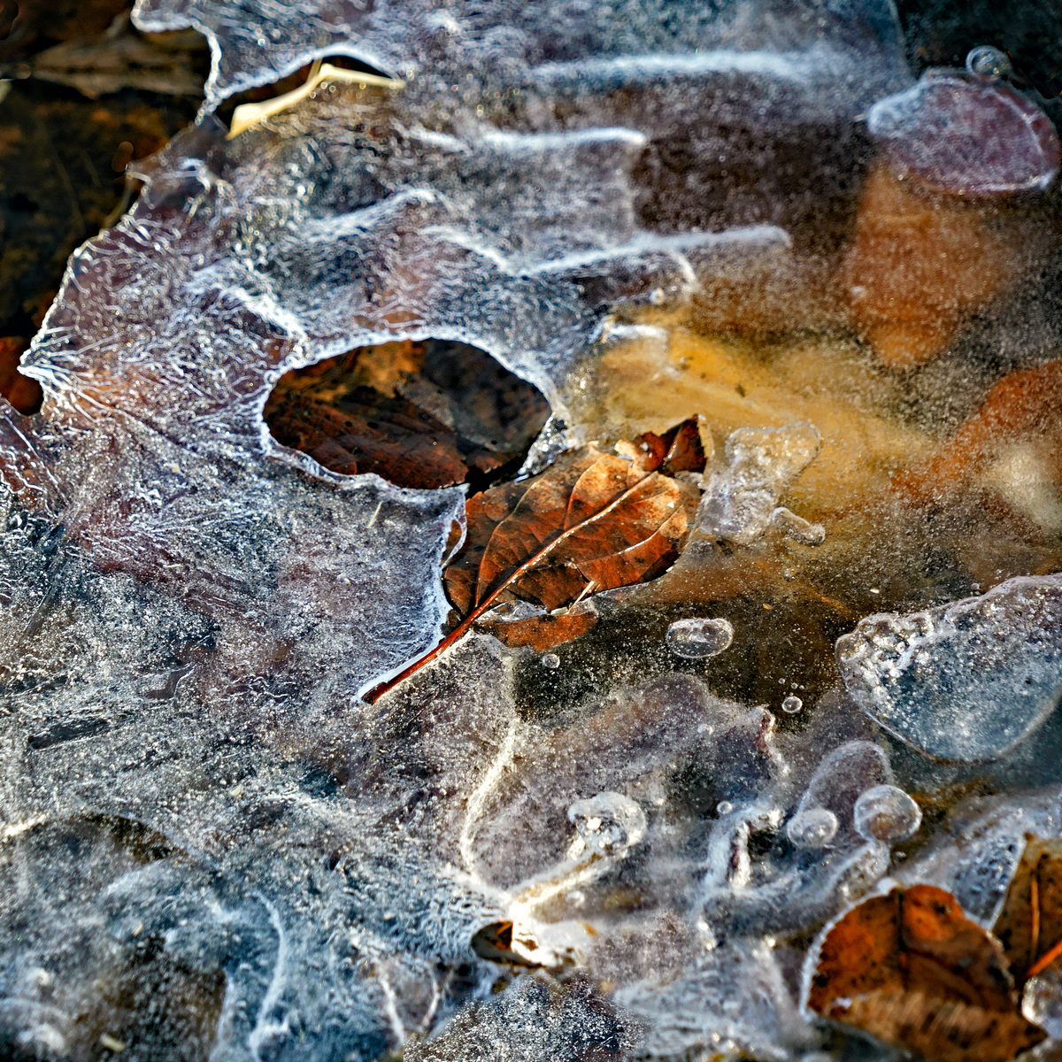 Schwer Ice No. 4