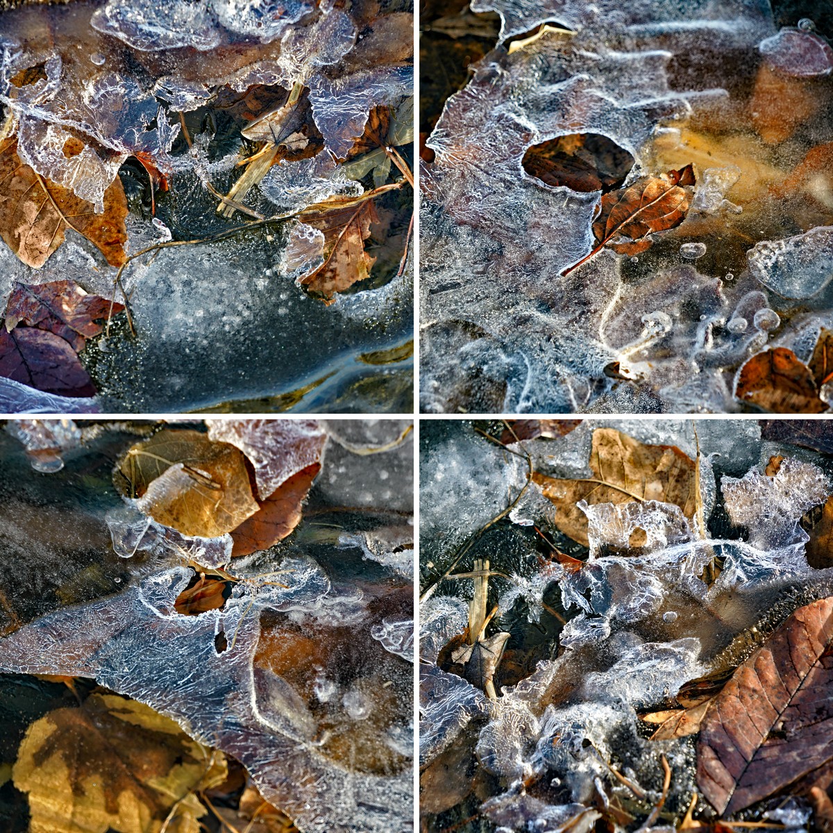 Schwer Ice Composite-2