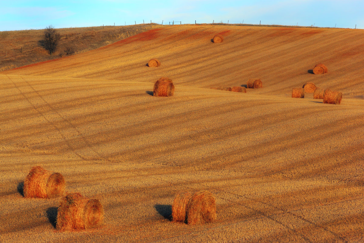 DSC03351_HDR4-photographic_edited-2