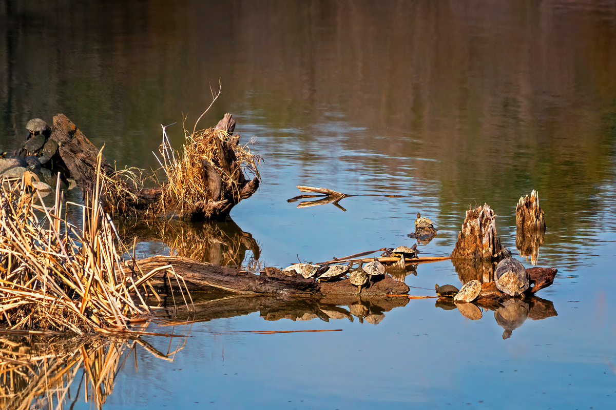 DSC04568_69-stack_edited-5DN