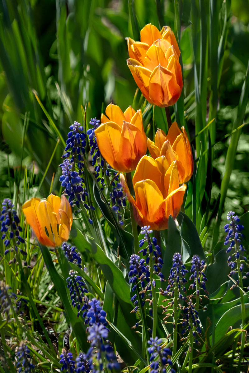 DSC05994_5_6_7_8_9_00_01-stack_edited-1