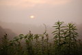 hazy sunrise