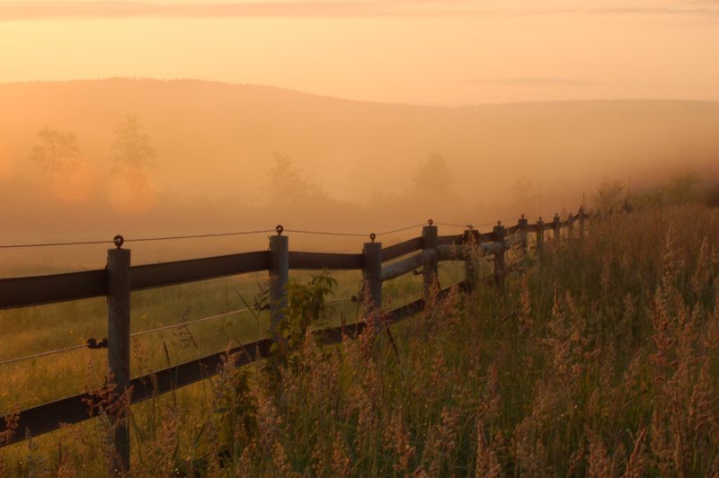 morning haze