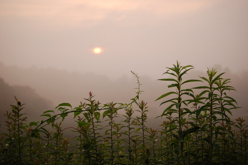 hazy sunrise