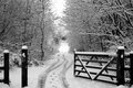 Snow Gate