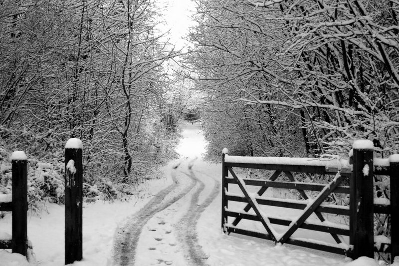 Snow Gate