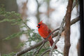 IMG_3601_card_NWF