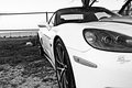 IMG_5278_web